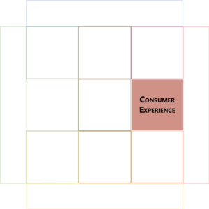 Consumer Experience